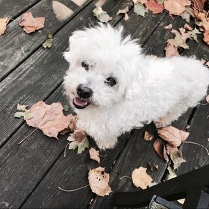 Meet your Posher, Julie